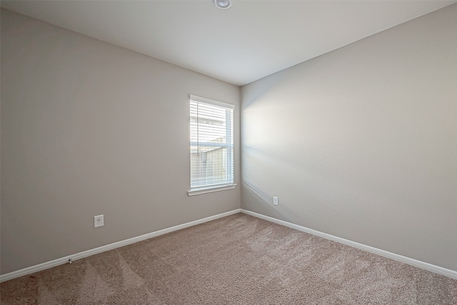 empty room featuring carpet floors