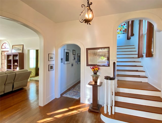 foyer with dark hardwood / wood-style flooring