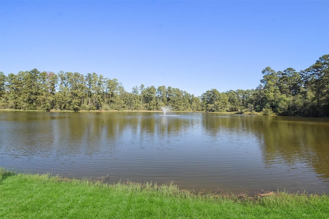27918 Hansons Ct, Spring, TX 77386 - water view featuring a forest