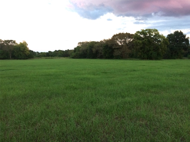 347 E Caroline St, Trinity TX, 75862 land for sale