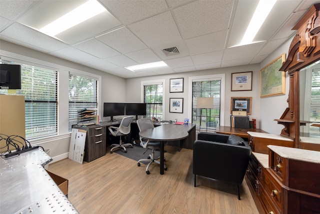 office featuring a drop ceiling, light wood-type flooring, and a wealth of natural light