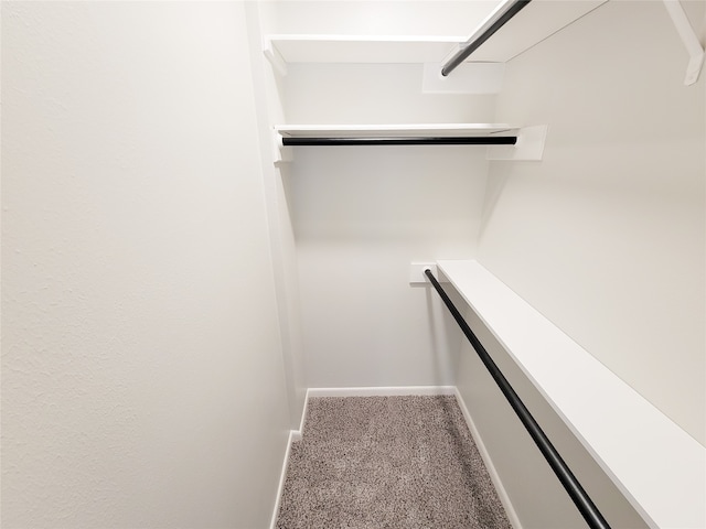 spacious closet featuring carpet flooring