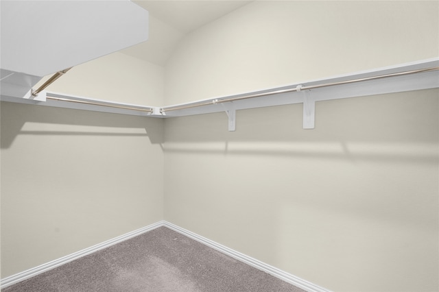 spacious closet featuring carpet floors