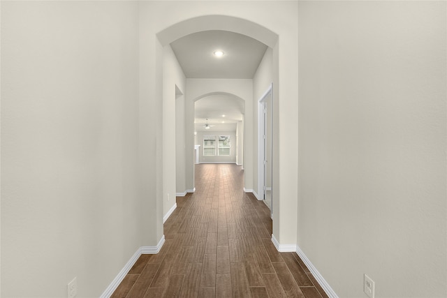 corridor with dark hardwood / wood-style flooring