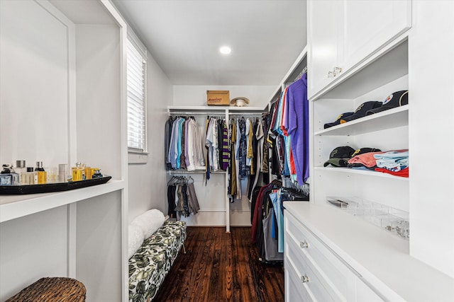 walk in closet featuring dark hardwood / wood-style flooring