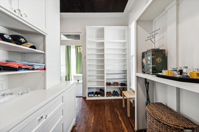 walk in closet with dark wood-type flooring