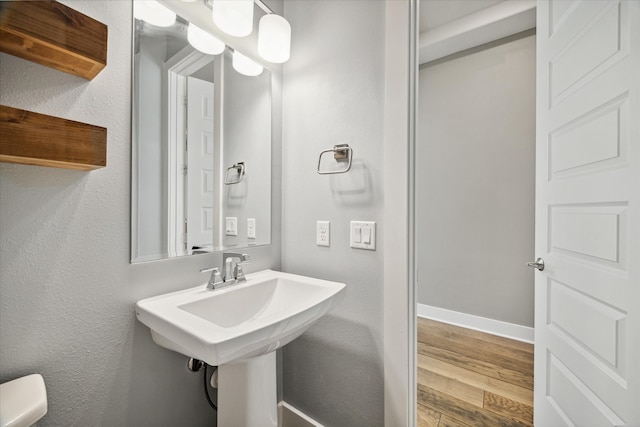 bathroom featuring hardwood / wood-style floors