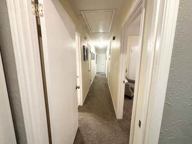 hall with carpet floors