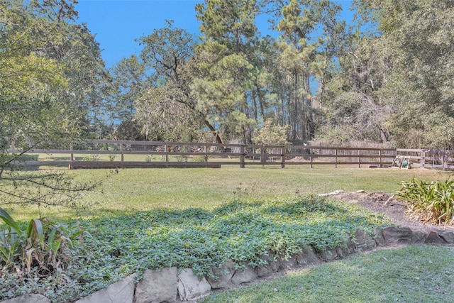 view of yard with a rural view