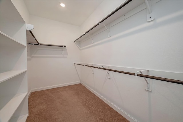 spacious closet featuring light carpet