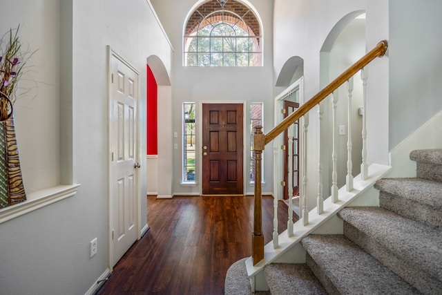 foyer with dark hardwood / wood-style flooring and a high ceiling