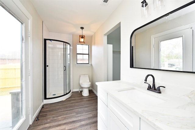 bathroom with vanity, toilet, and plenty of natural light