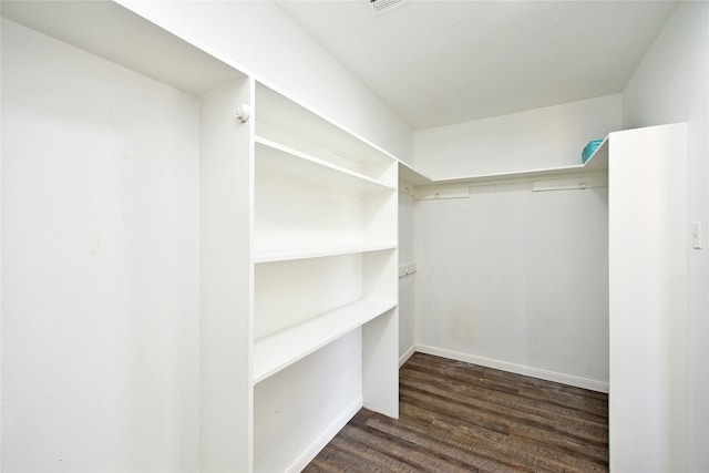 walk in closet featuring dark hardwood / wood-style flooring