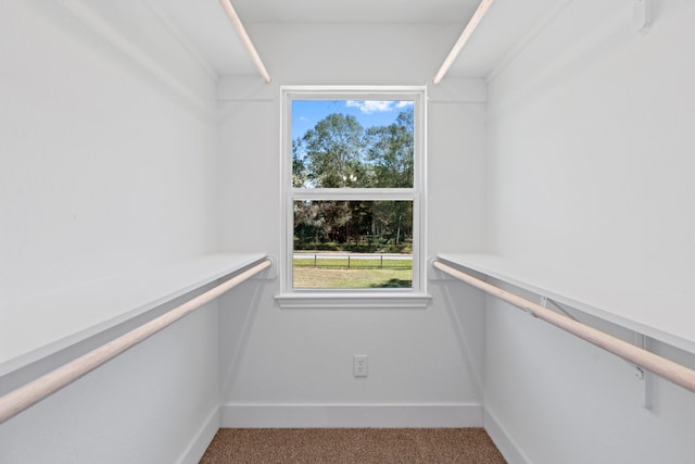 spacious closet with light carpet