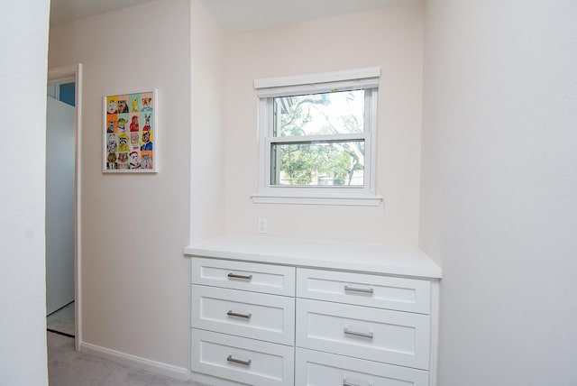 room details featuring carpet