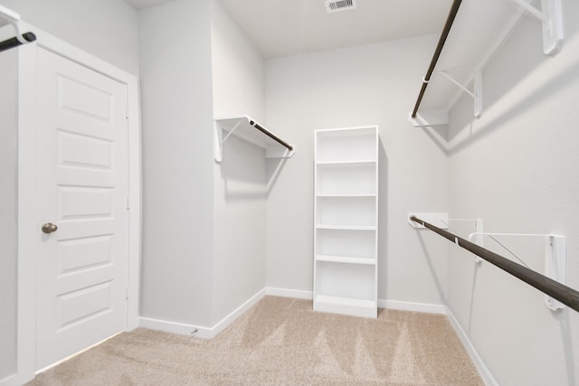 walk in closet with light carpet