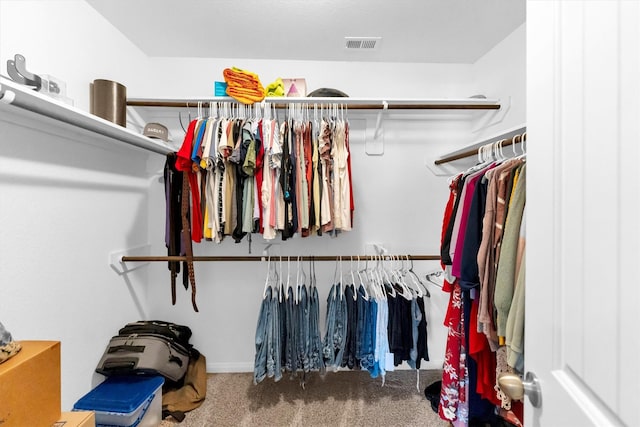 spacious closet featuring carpet