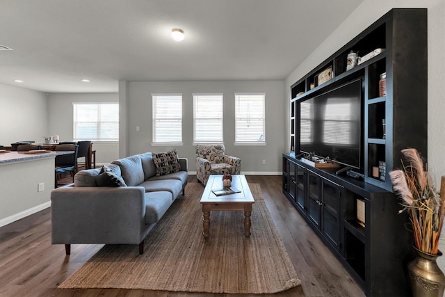 living room featuring dark wood-type flooring