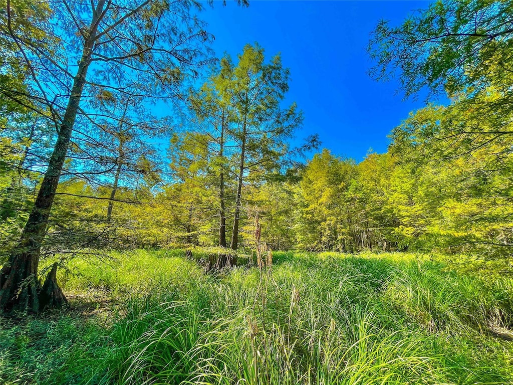 0000 Hickman Rd, Burkeville, TX 75932
