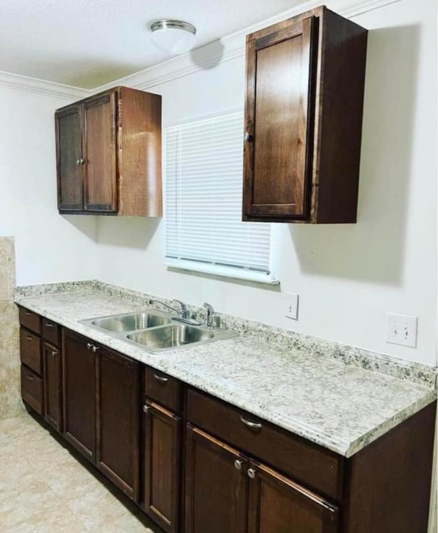 kitchen with sink, dark brown cabinetry, and crown molding