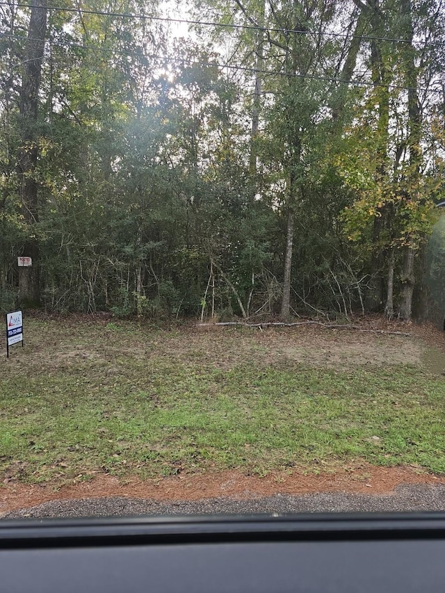 0 Forest Glen Dr, Conroe TX, 77303 land for sale