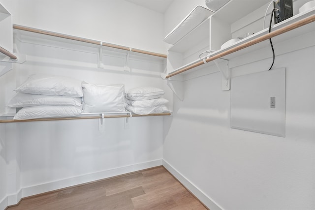 spacious closet with light hardwood / wood-style flooring