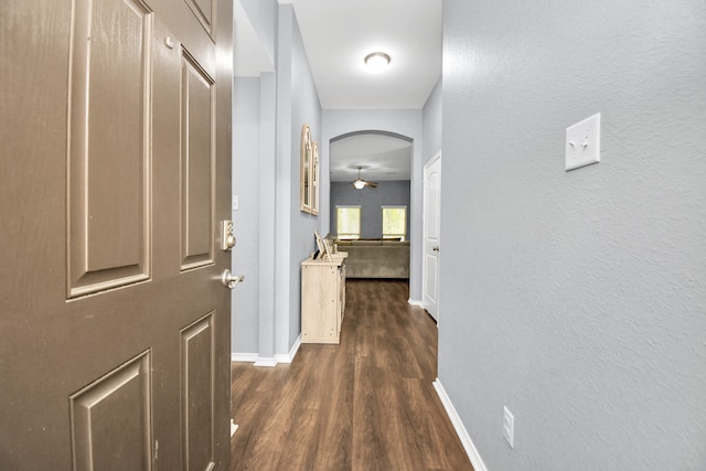 hallway with dark hardwood / wood-style floors