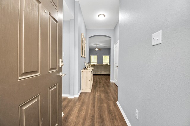 hall featuring dark wood-type flooring