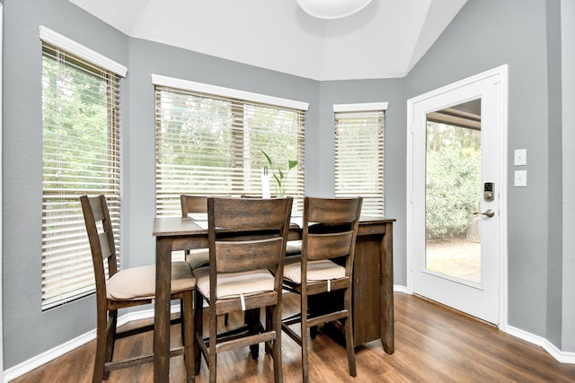 dining space with lofted ceiling, plenty of natural light, and dark hardwood / wood-style flooring