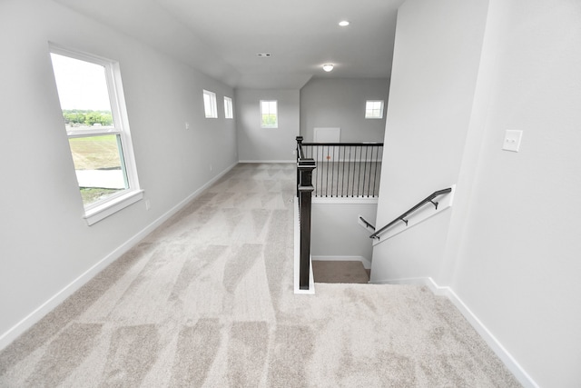 staircase featuring carpet