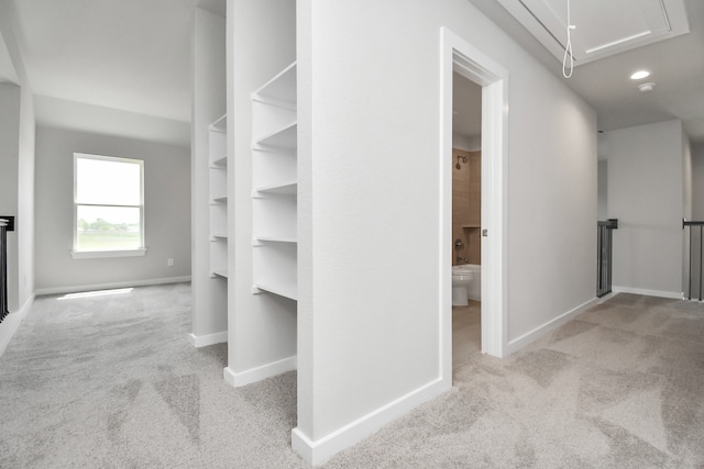 walk in closet featuring light colored carpet