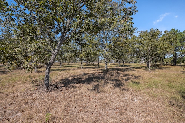 7613 Bobwhite, Brookshire TX, 77423 land for sale