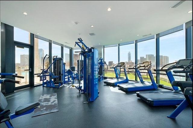 workout area featuring a wall of windows