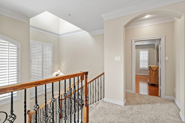 hallway featuring ornamental molding and carpet flooring