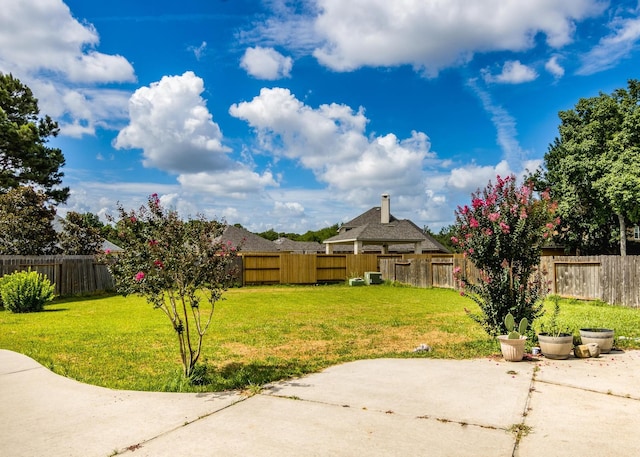 view of yard featuring a patio