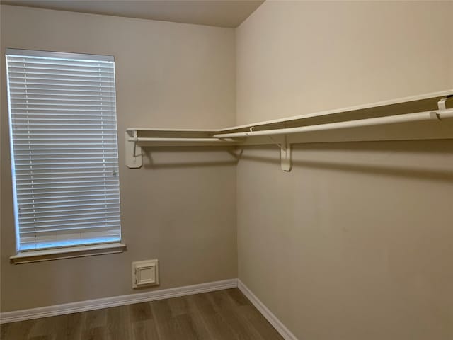 spacious closet with hardwood / wood-style flooring