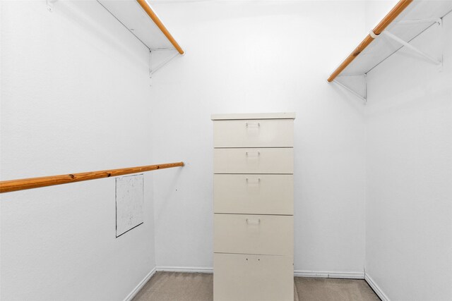 spacious closet featuring light colored carpet