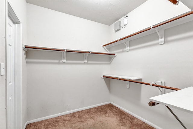 spacious closet with carpet