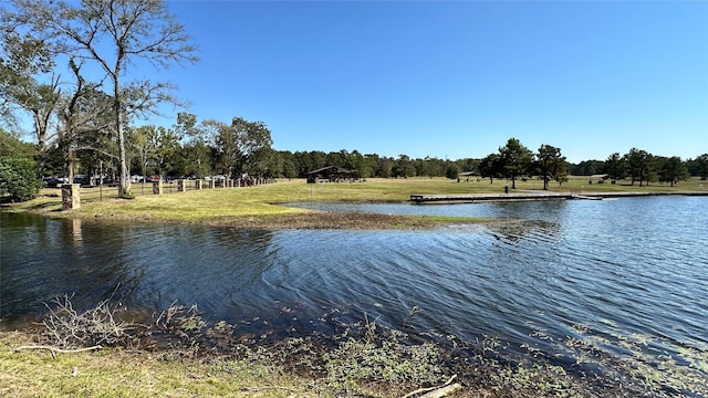 11530 E Bramble Ct, Willis, TX 77378