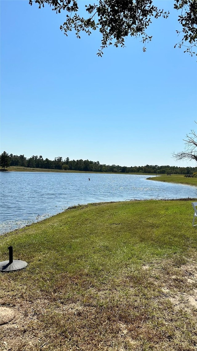 11530 E Bramble Ct, Willis, TX 77378