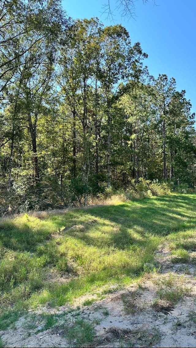 11530 E Bramble Ct, Willis, TX 77378