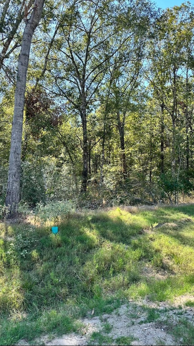 11530 E Bramble Ct, Willis, TX 77378