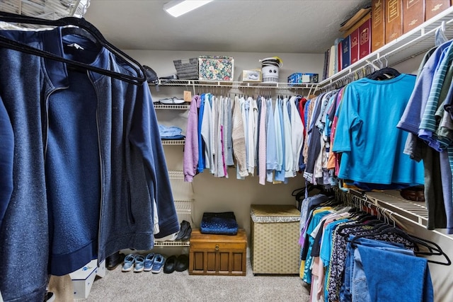 spacious closet featuring carpet