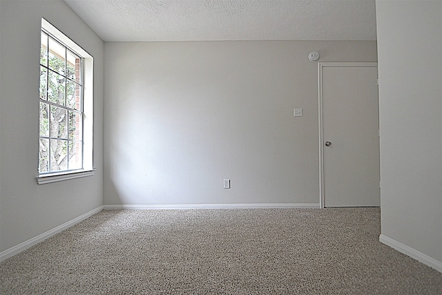 spare room with a textured ceiling and carpet floors