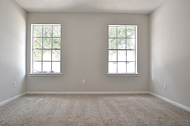 empty room featuring carpet, a textured ceiling, and plenty of natural light