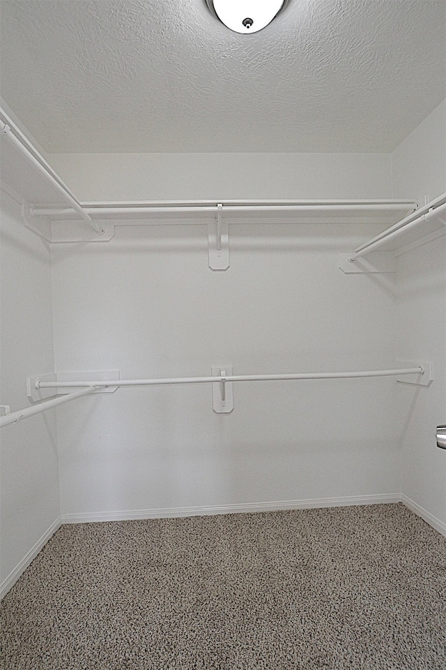 spacious closet with carpet