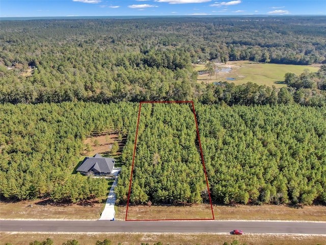 12007 High Branch Way, Willis, TX 77358