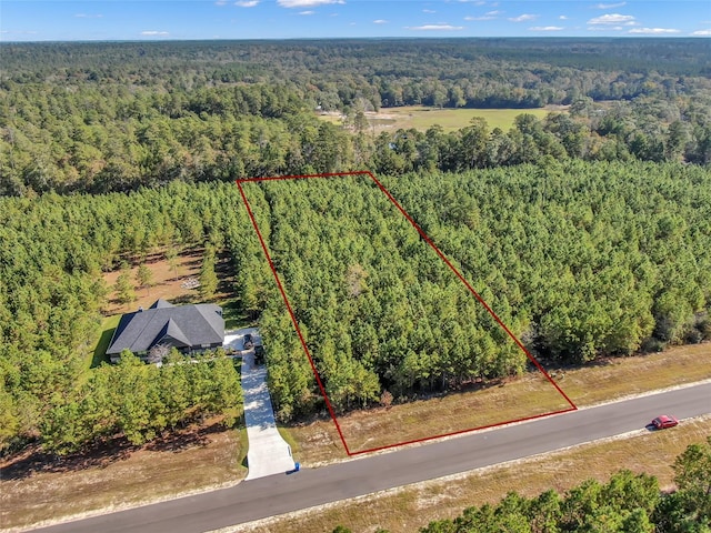12007 High Branch Way, Willis, TX 77358