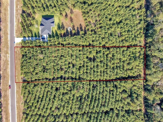12007 High Branch Way, Willis, TX 77358