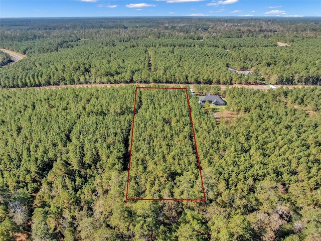 12007 High Branch Way, Willis, TX 77358